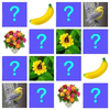 Memory Match Puzzle