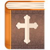 Study Bible for young people