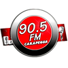 CARAPEGUÁ FM