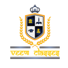 Veena Classes