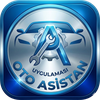 Oto Asistan
