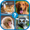 Guess the Word : Word Puzzle