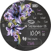BFF94- Blackboard Art Flower