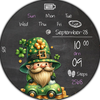 BFF50- St. Patrick day Gnomes