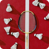 Badminton Wallpaper