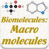 Biomolecules: Macromolecules