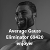 Gauss Eliminator 69420
