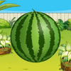 CrazyWatermelon