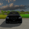 E60 Simulator