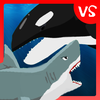 Shark Fights Killer Whale