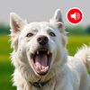 Dog Translator: Bark Sounds