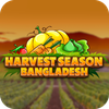 Harvest Season Bangladesh