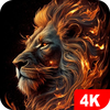 Lion Wallpapers 4K