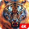 Tiger Wallpapers 4K
