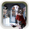 Escape Game: Cat and Cafe
