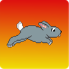 Bunny Hop - A Bunny Game
