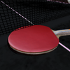 Table Tennis ReCrafted!