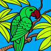 Coloring Birds