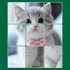 Jigmerge Solitaire Puzzle