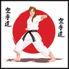 Shotokan karate academy