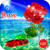 Rose GIFs Love & Flowers