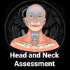 3D Head and Neck Assessment