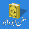 Sunan Abu Dawood Urdu Hadees