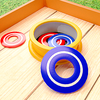 Washer Toss 3D