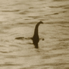 Loch Ness Monster Recordings