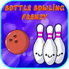 Bottle Bowling Frenzy