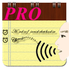 Voice Notes (Pro)