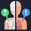 Anato Trivia - Quiz Anatomy