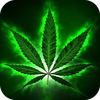 Weed Wallpaper: 4K live