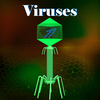 Learn Viruses