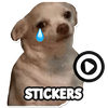 Dog meme sticker WAStickerApps