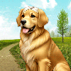 Animal Shelter Simulator Game