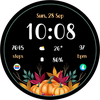 TVV Autumn 5 Watch Face