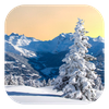 Winter Live Wallpaper