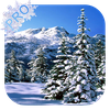 Winter Pro Live Wallpaper