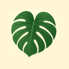 Leaffy - Plant Identifier