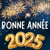 Bonne année gif 2026