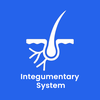 Integumentary System