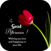 Good Afternoon MSG