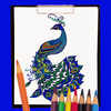 Peacock Coloring Book