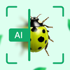 Bug Lens: AI Insect Identifier