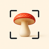 Mushroom Identifier - Fungi ID