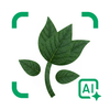 Identify: Ai Plant Identifier