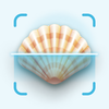 Seashell Identifier App