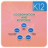 Coordination and Response