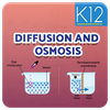 Diffusion and Osmosis
